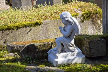 Fototapeta premium statue of a angel in a cemetery