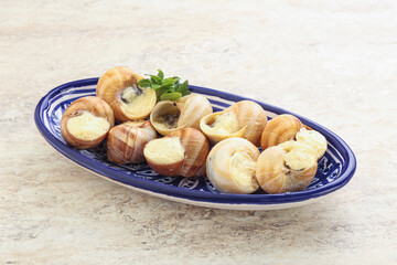 Delicous baked snail with butter - Escargot