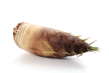 白背景の竹の子