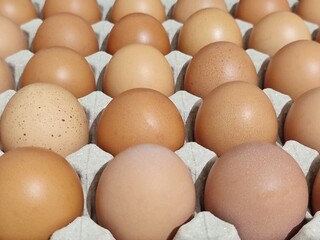 In selective organic eggs in a paper tray and selling at the market