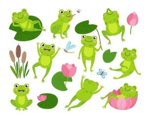 Fotobehang Cute green frogs. Nature and frogs, cartoon toad in pond. Funny animal in lotus, on leaves and eating insects. Neoteric childish froggy vector characters © LadadikArt