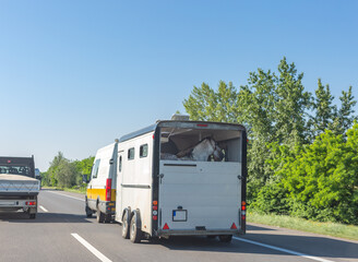 European-style horse box with horses pulled by minibus on hungarian road. Horse trailer on highway.