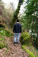 Back view of a young man walking through the forest