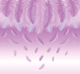 Feathers with a beautiful pink gradient background. Large feathers on top. Little feathers fall 
