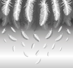 Pattern with white feathers on a gray background. Suitable for curtains, wallpaper, fabrics, wrapping paper.