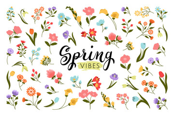 Big set of flat spring seasonal multicolor flowers. Cute doodle hand drawn colorful blooming flower isolated on white background for design.