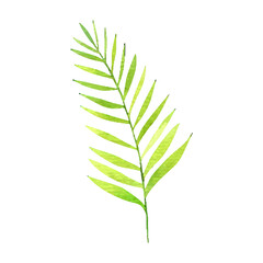 tropical flowers and leaves, cute childish illustration, design and print 