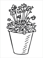 Сute hand drawn houseplant in a pot clipart. Plant illustration isolated on white background. Cozy home doodle.
