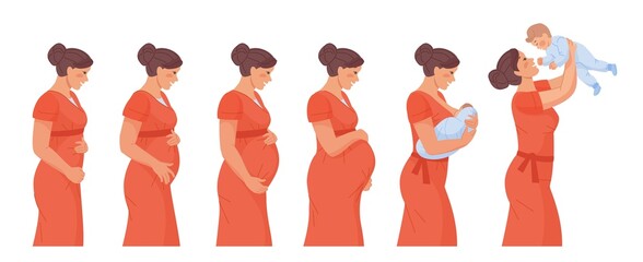 Stages of pregnancy. Stage trimester pregnant woman, infographic growth fetus in belly mom before birth, timeline maternity body, baby breastfeeding milk swanky vector illustration
