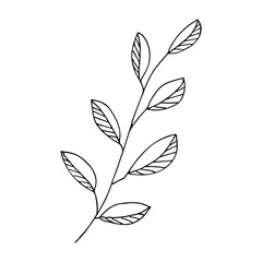 Hand drawn vector branch clipart. Herb illustration isolated on white background. Botanical doodle for print, web, design, decor, logo.