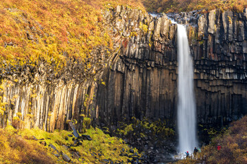 Svartifoss waterfall in Skaftafell National Park with tourists, Iceland.