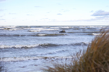 Fototapeta na wymiar Baltic sea seaside coastal view with seagrass in front ground and waves in the background.