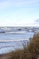 Baltic sea seaside coastal view with seagrass in front ground and waves in the background.