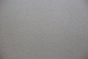 Sand texture on baltic seaside.
