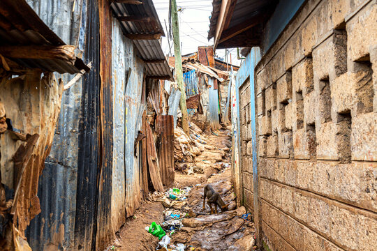 Kibera slum in Nairobi. Kibera is the biggest slum in Africa. Slums in Nairobi, Kenya.