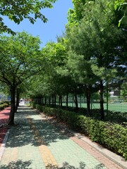 Obraz premium 거리