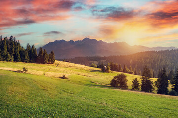 Tatra mountains at sunset with valley landscape in Poland
