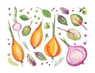 Watercolor isolated set of vegetables for salad on a white background: onions, basil leaves, radishes, greens