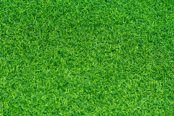Fototapeta premium Green grass background, football field