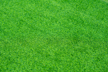Fototapeta premium Green grass background, football field