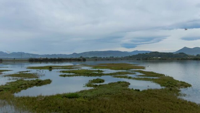 A drone flying across Victoria and Joyel Marshes as numerous birds take flight.