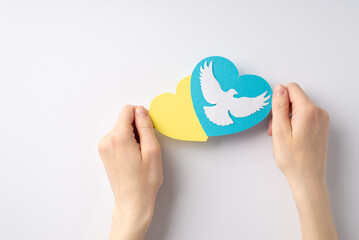 Stop the war in Ukraine concept. Top overhead view photo of woman's hands holding yellow and blue hearts with white pigeon on white background