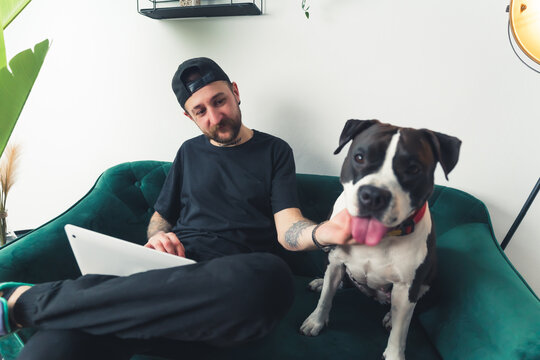 Proud Caucasian Dog Owner Guy Pets His Animal Best Friend While Checking Out His Social Media. High Quality Photo