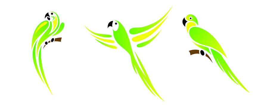 Pretty macaw bird vector. Scarlet macaw, largest parrot species. 
