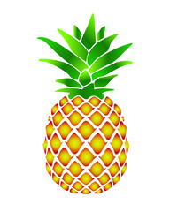 Fresh and tasty pine apple fruit vector isolated. Juicy pine apple.