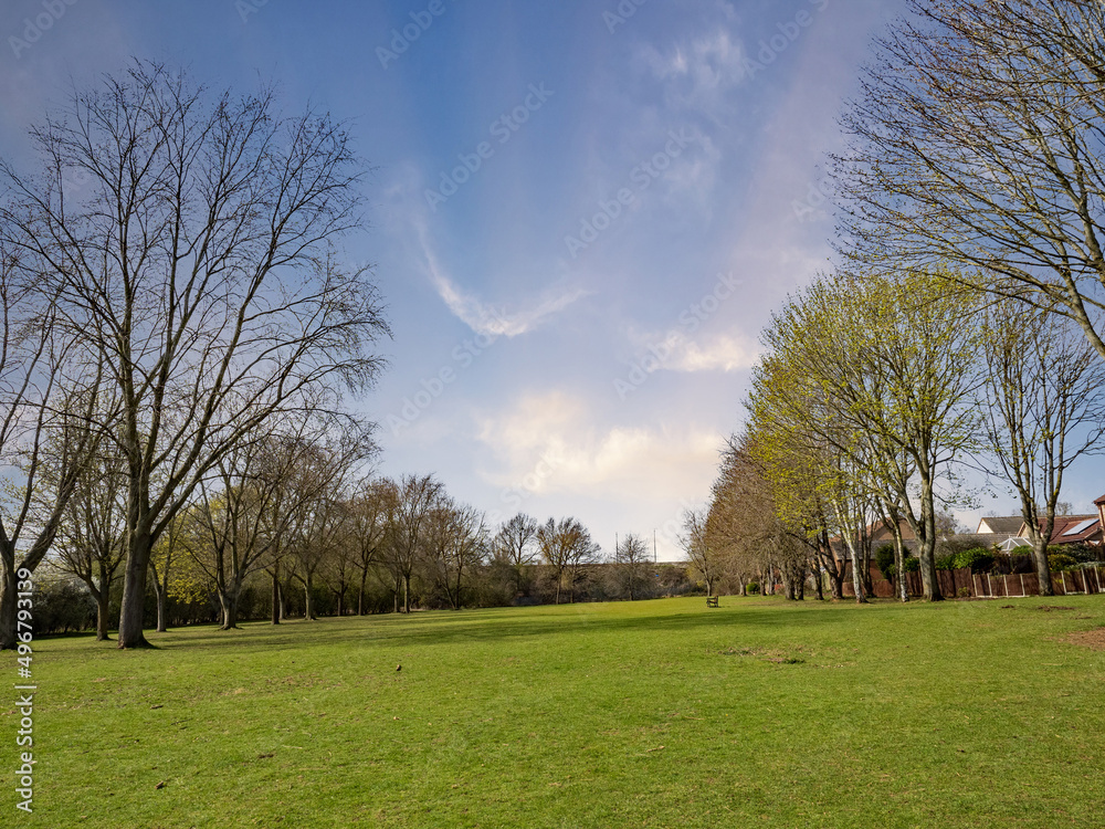 Poster trees in the park