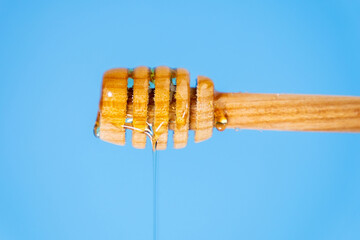 Dripping honey from a wooden spoon close-up. Blue background, copy space
