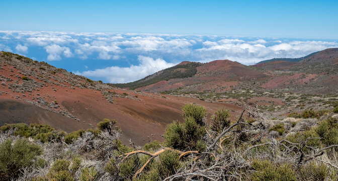 Tenerife Teide national park ocean view