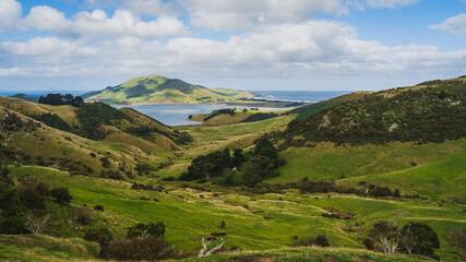 Beautiful view of green hills near the ocean in Dunedin, South Island, New Zealand
