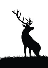 Deer silhouette. Beautiful deer, buck or stag silhouette icon.