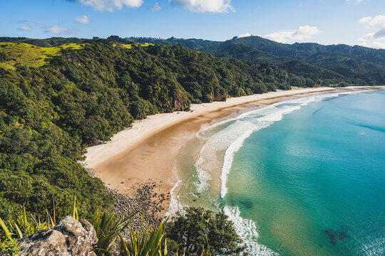 Aerial view of  the  beach in New Chums Beach with forest trees in New Zealand with a blue sky