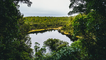 Scenic view of a lake surrounded by dense forests © Igor Kondler/Wirestock Creators