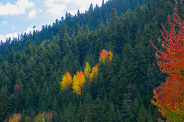 Artvin Şavşat region is the region where the most beautiful autumn of Turkey is experienced.