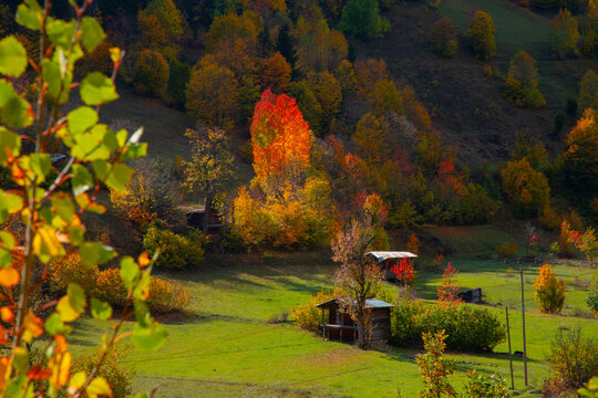 Artvin Şavşat region is the region where the most beautiful autumn of Turkey is experienced.