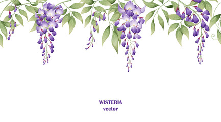 Seamless border of purple wisteria flowers and green leaves on a white background. Background design. design of posters, postcards. Vector illustration - obrazy, fototapety, plakaty
