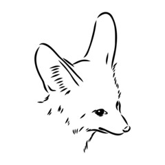 Vector illustration of a young fennec fox walking. fox fenek vector sketch