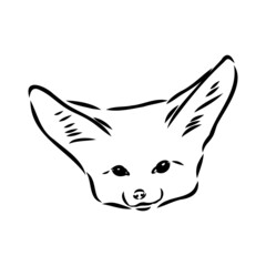 Vector illustration of a young fennec fox walking. fox fenek vector sketch