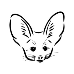 Vector illustration of a young fennec fox walking. fox fenek vector sketch