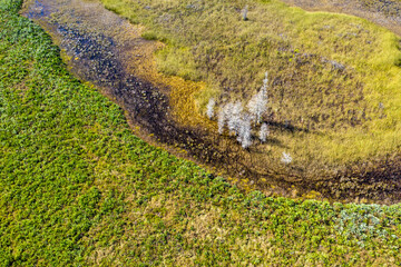 Aerial view of trees in a public park at St. Sebastian River State Park, Fellsmere, Florida, United States.
