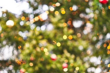  Picture of blurred lights christmas tree at street