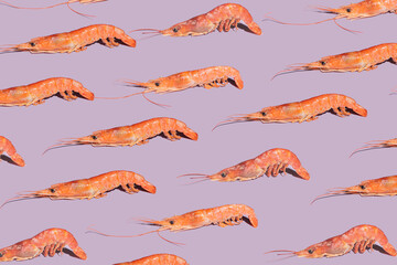 Modern seafood minimal concept.  Pattern made of many fresh organic pink prawns against purple background