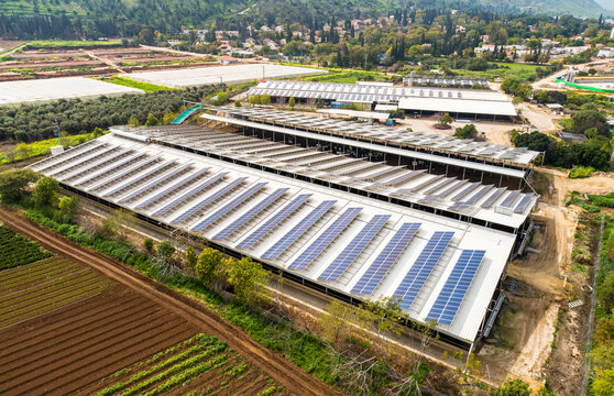 Aerial view of livestock a farm covered with solar panels, Beit Alfa, Israel.