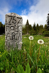 Ancient memorial stone from 1752 which delimits the territory of Folgaria. Coe Pass, Folgaria, Trento province, Trentino Alto-Adige, Italy, Europe. - obrazy, fototapety, plakaty