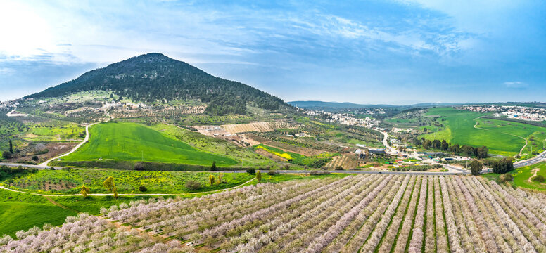 Aerial view of blossom almond plantation, Mount Tabor, Lower Galilee, Israel.