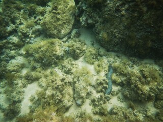 Cala Morell, Menorca, Islas Baleares, España