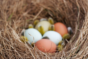easter colorful eggs in dry grass nest with selective focus